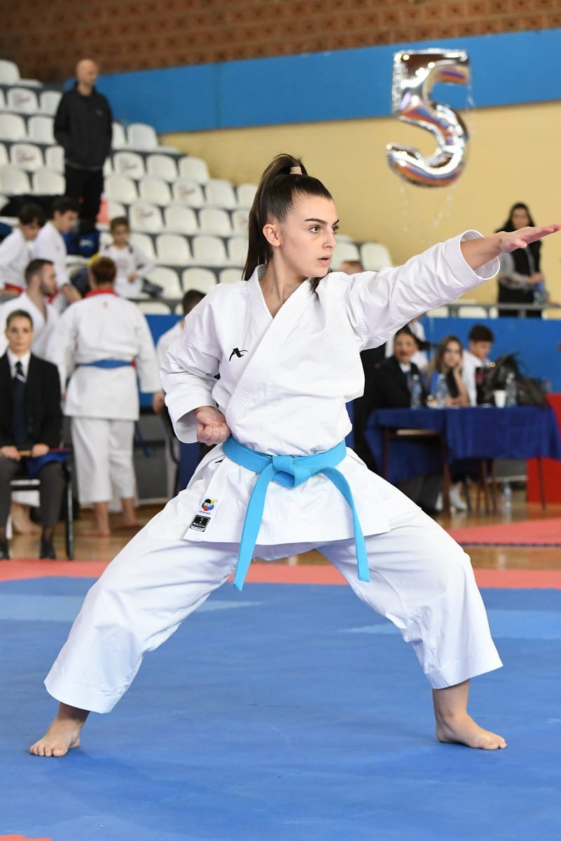 ODRŽAN TURNIR “NIPPON TOP TEN” – TROFEJ VOŽDOVCA